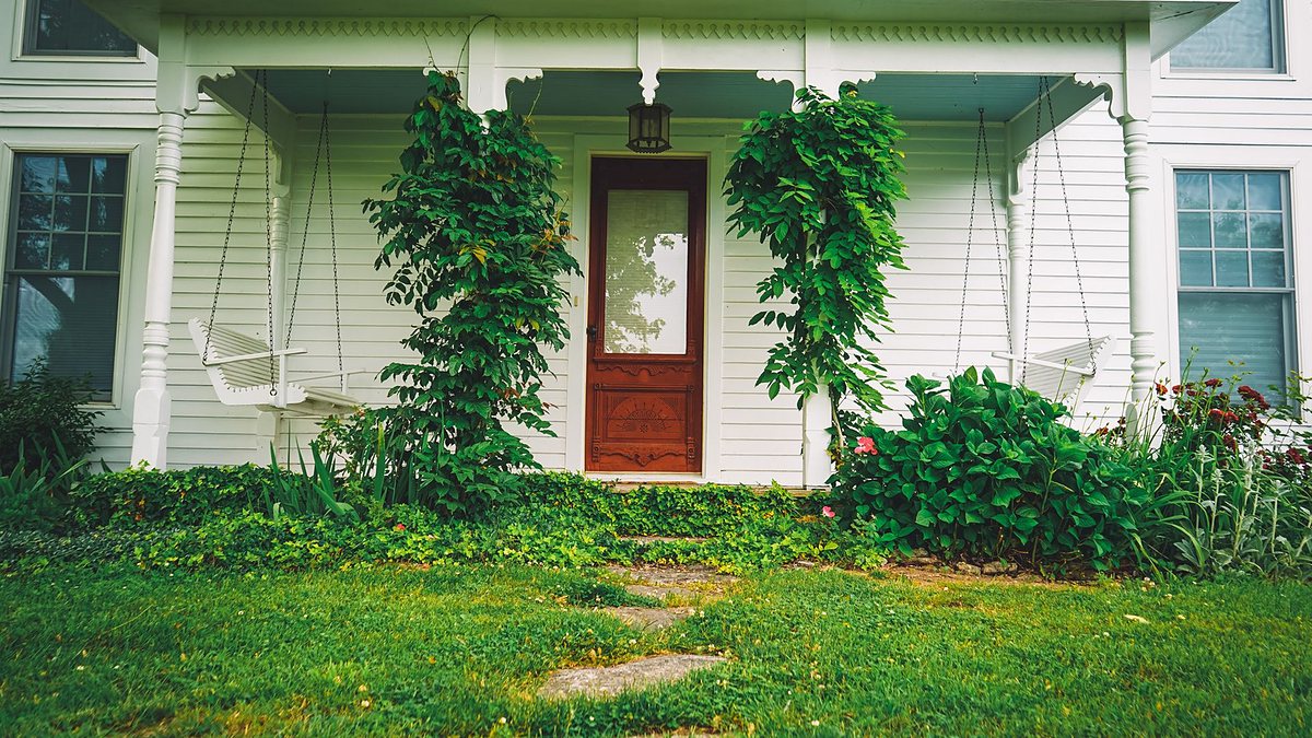 Front porch of a white house with a wooden door, vibrant plants and two porch swings