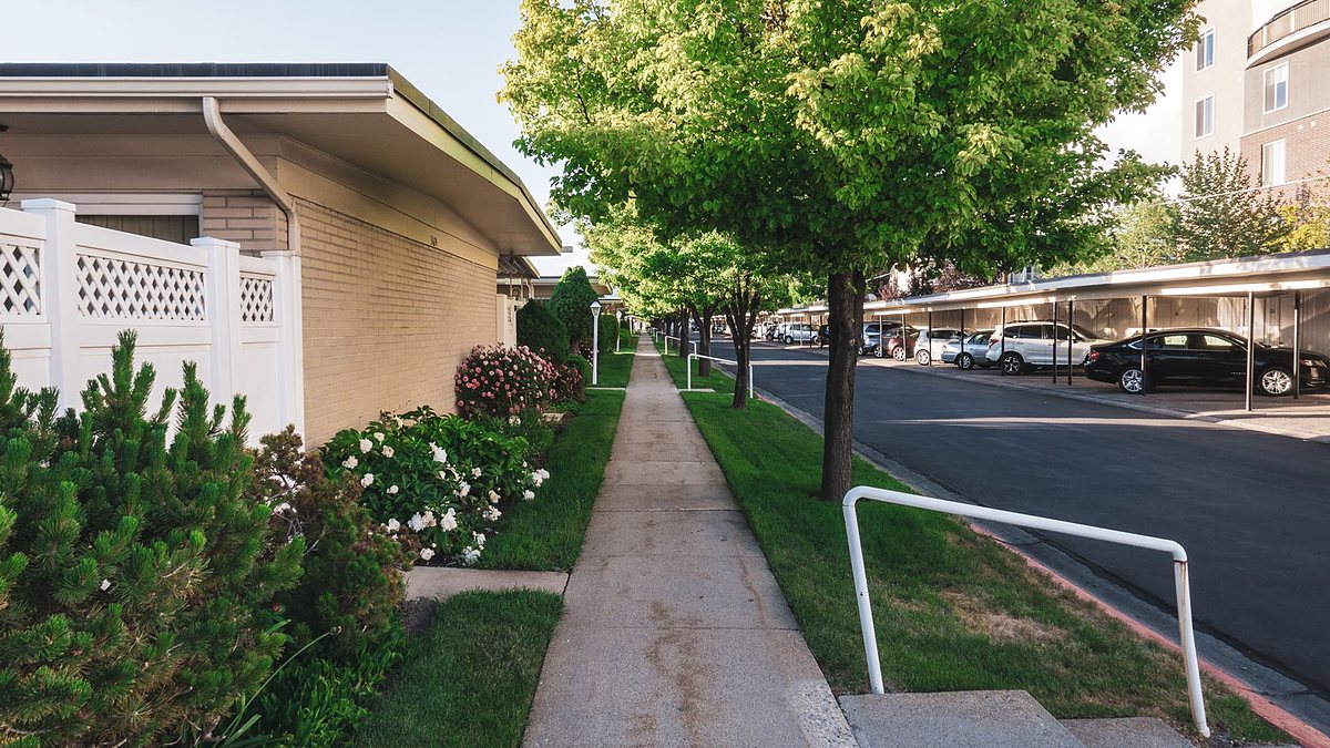 Peaceful residential street lined with trees and houses, with a sidewalk and parked cars
